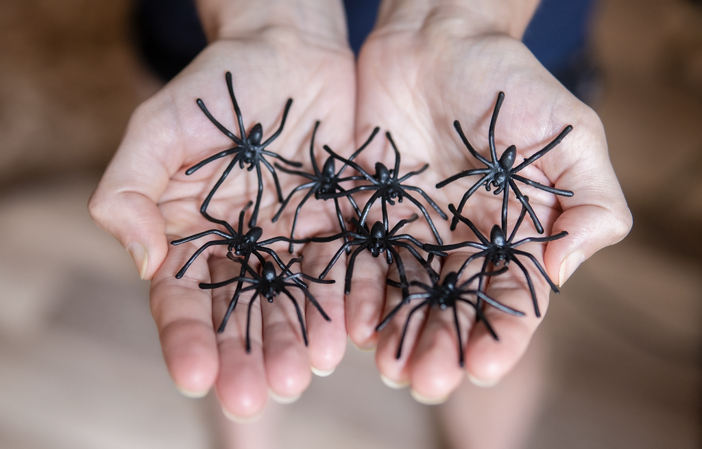 Halloween Spider Web Decoration, 800 Square Feet & Plastic Spiders, Halloween Party Supplies, Spider Webs (Large, 800 Sq Feet)