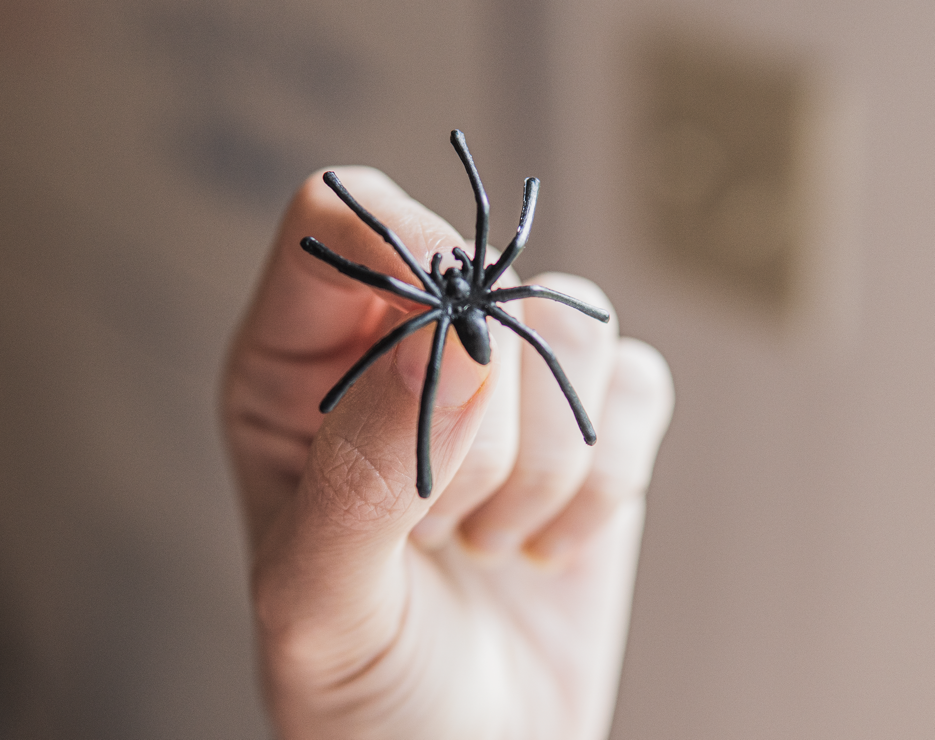 Halloween Spider Web Decoration, 1500 Square Feet & Plastic Spiders, Halloween Party Supplies, Spider Webs (Extra Large, 1500 Sq Feet)