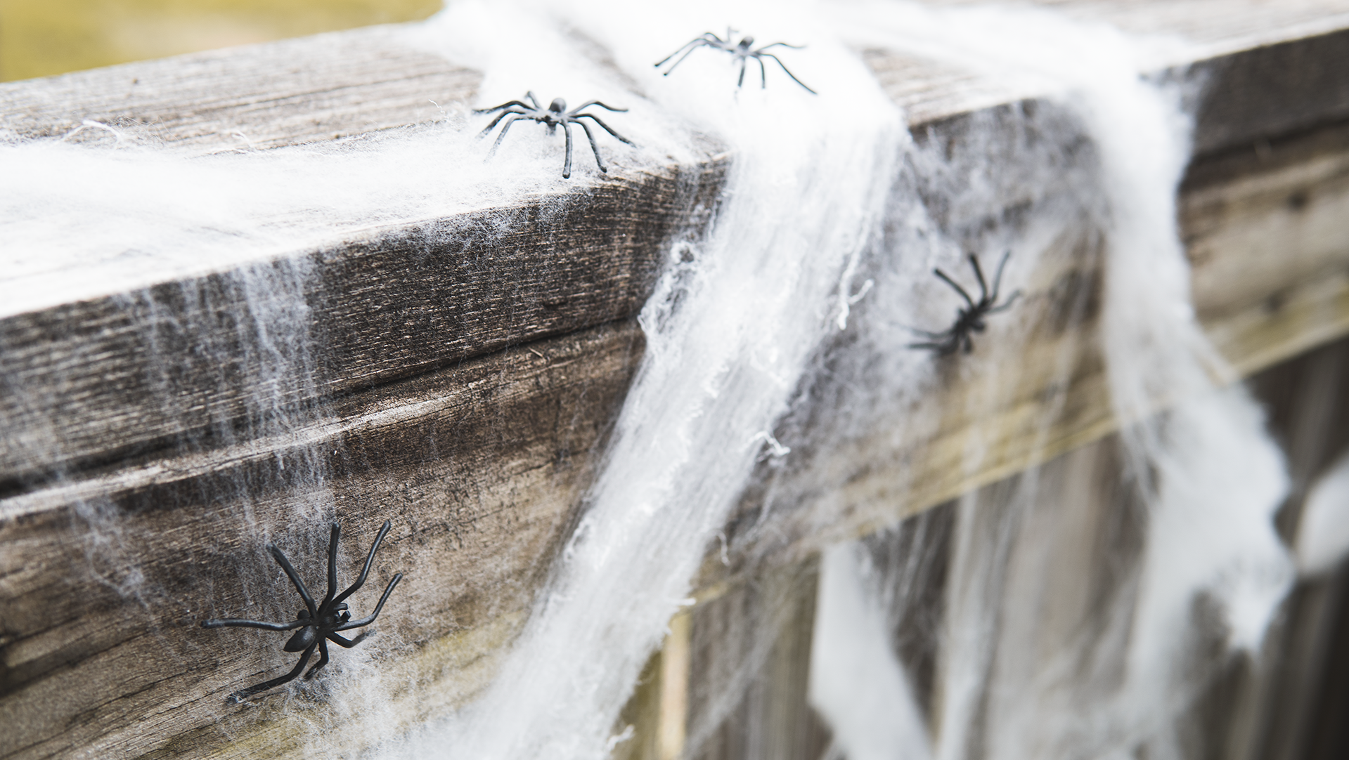 Halloween Spider Web Decoration, 1500 Square Feet & Plastic Spiders, Halloween Party Supplies, Spider Webs (Extra Large, 1500 Sq Feet)