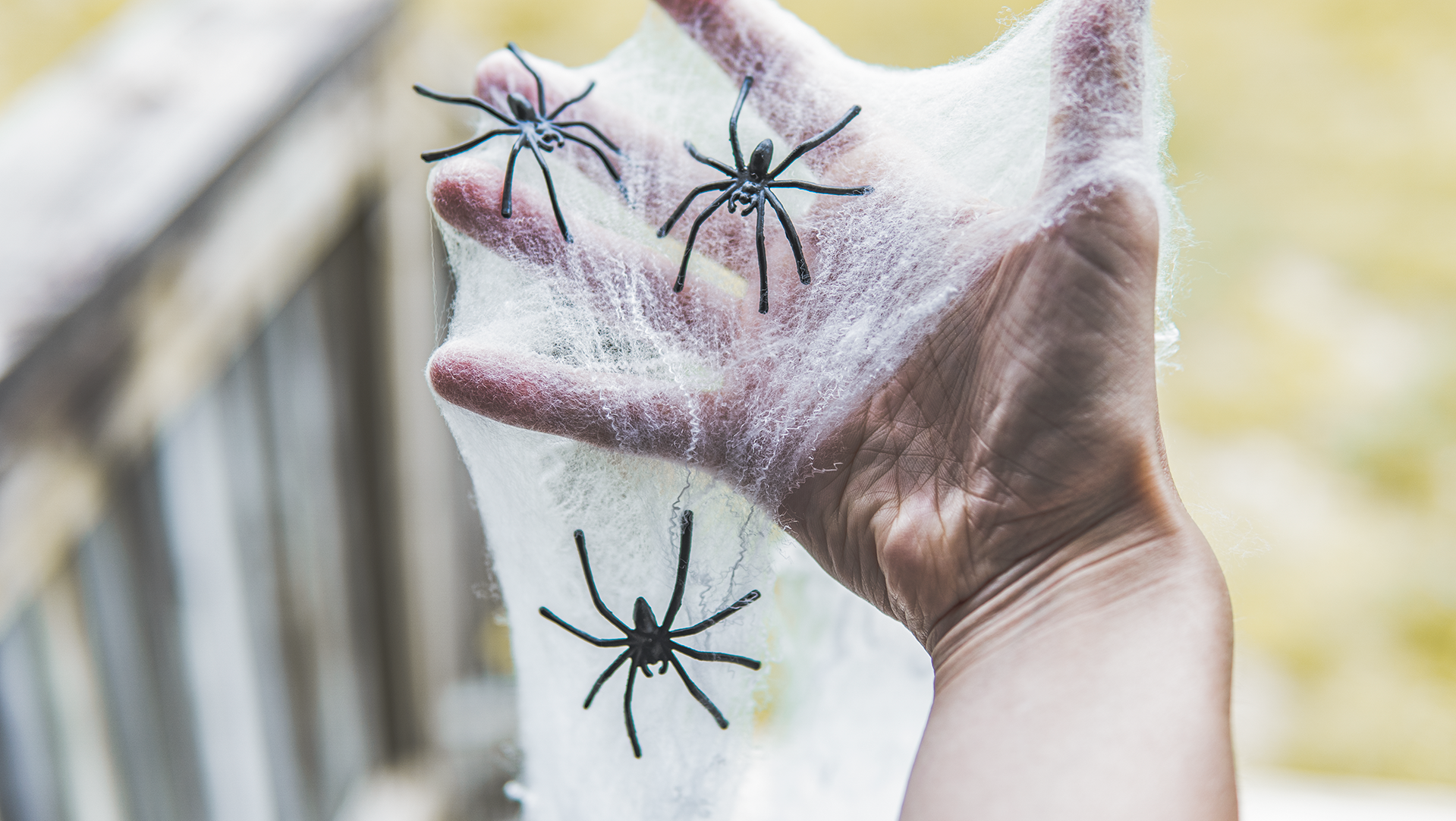 Halloween Spider Web Decoration, 1500 Square Feet & Plastic Spiders, Halloween Party Supplies, Spider Webs (Extra Large, 1500 Sq Feet)