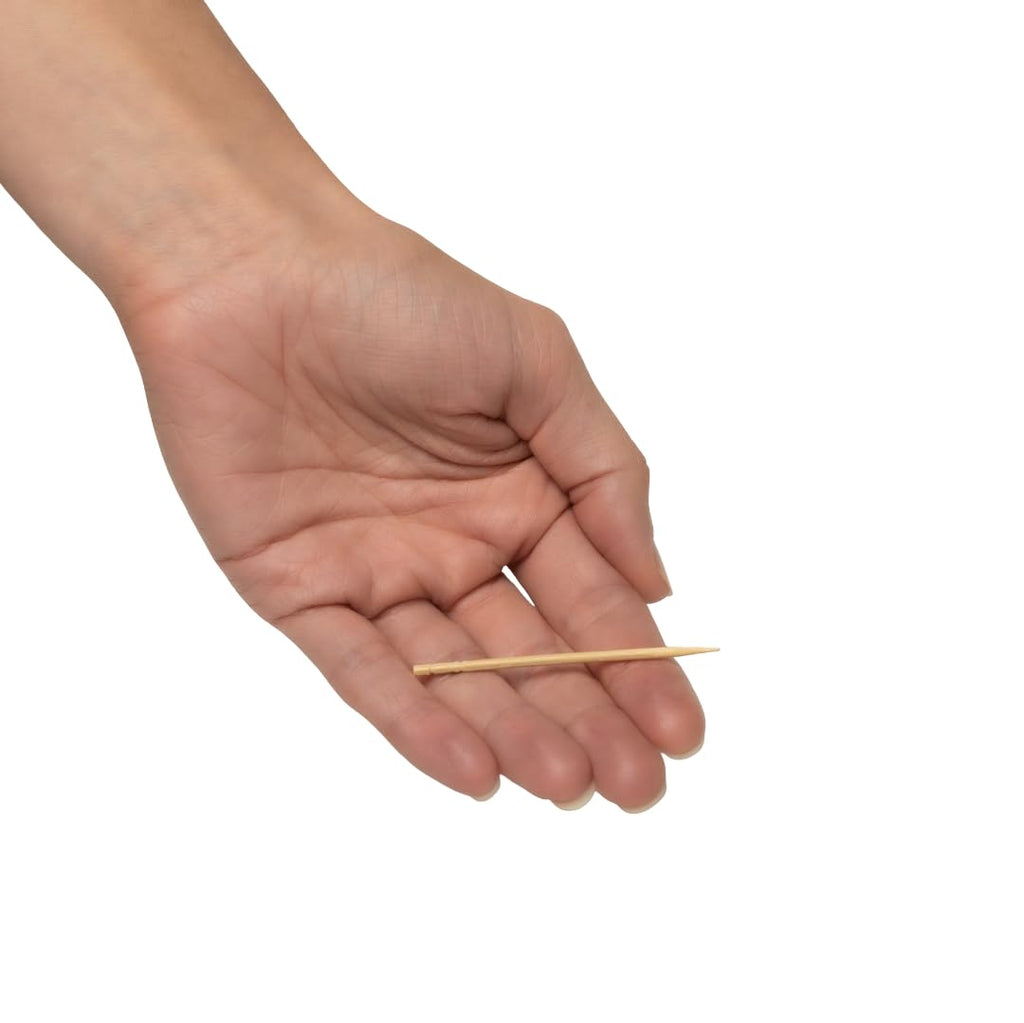 Traditional Single Point Wooden Toothpicks Made from Bamboo, Bulk Pack (500), -1 Container (500)